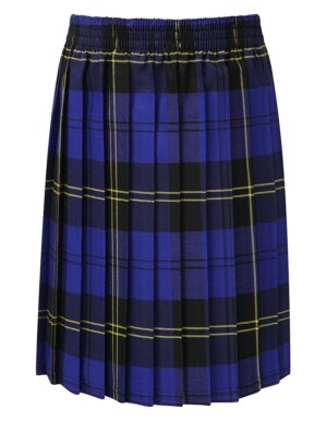 Royal Blue Skirt