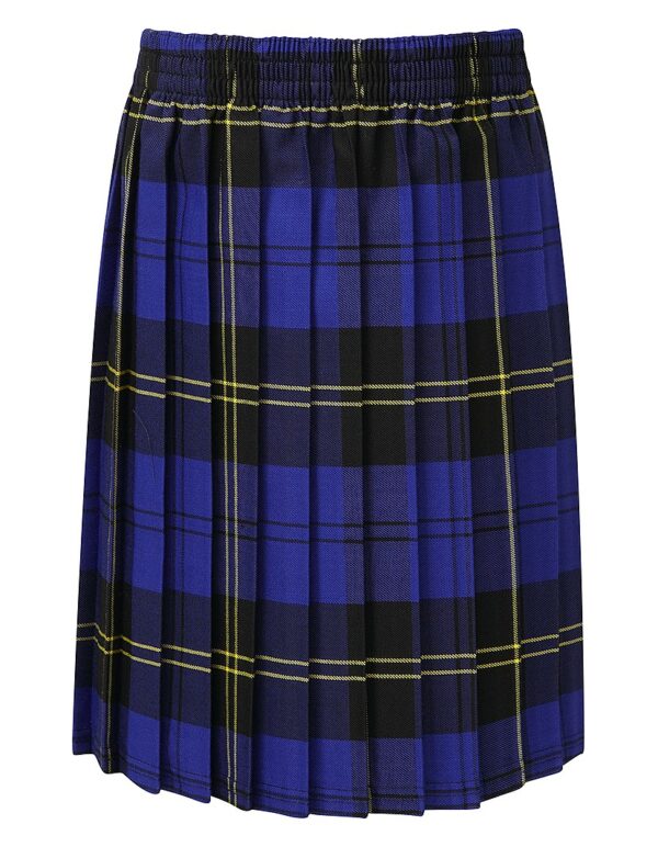 Royal Blue Skirt