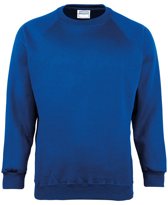 Royal Blue Sweatshirt
